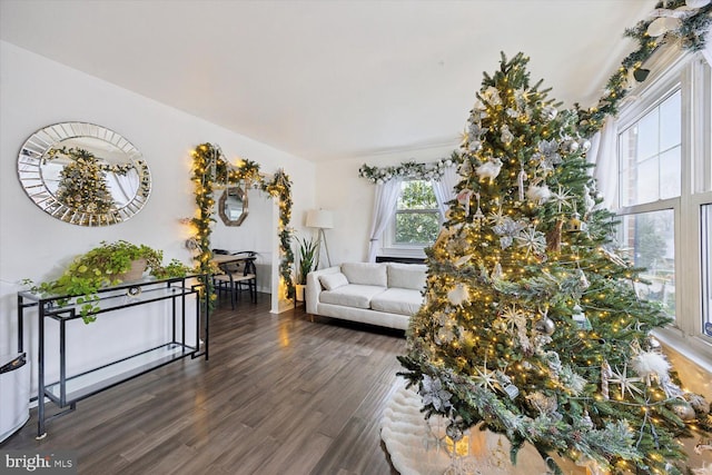 living room with dark hardwood / wood-style floors