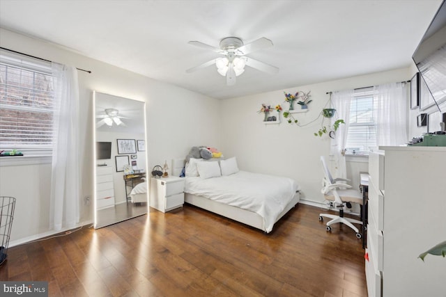 bedroom with ceiling fan, dark wood-type flooring, and multiple windows