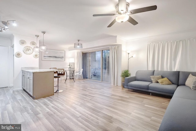 living room featuring crown molding, light hardwood / wood-style flooring, and ceiling fan