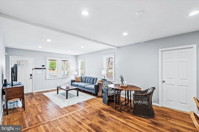 living room with hardwood / wood-style flooring