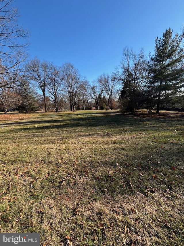 view of yard with a rural view