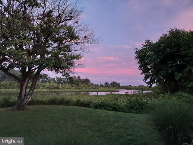 yard at dusk with a water view