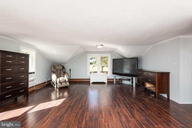 sitting room with dark hardwood / wood-style flooring, lofted ceiling, and a baseboard radiator