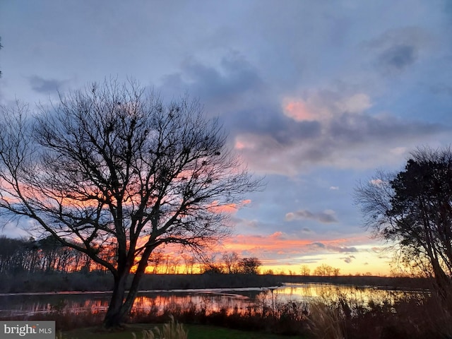 property view of water