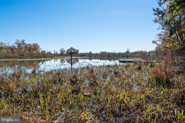 property view of water