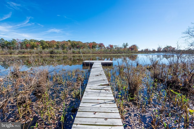 view of dock featuring a water view