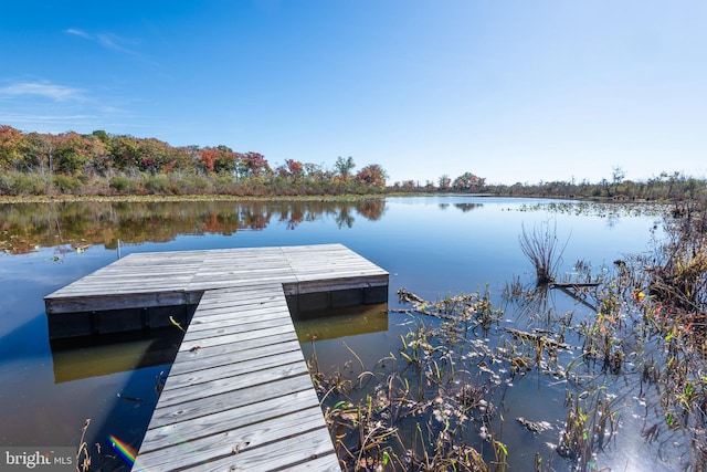 dock area featuring a water view