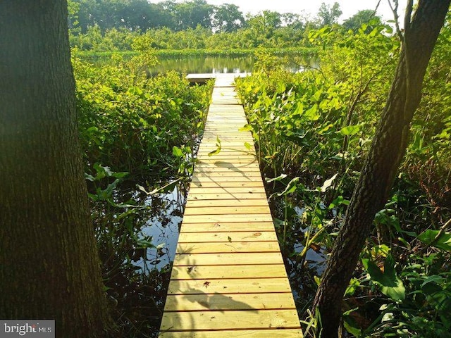 dock area with a water view