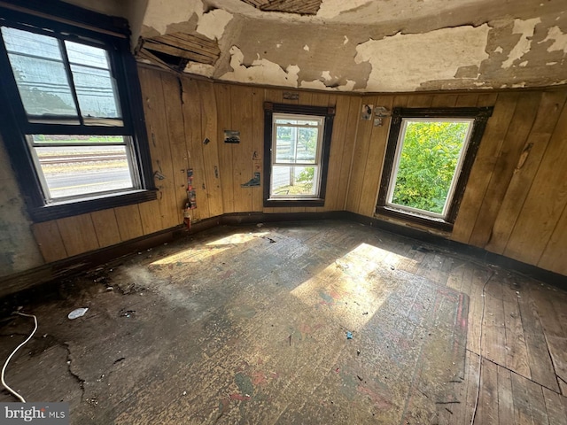 empty room featuring a healthy amount of sunlight and wooden walls