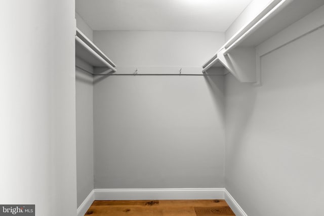 walk in closet featuring wood-type flooring