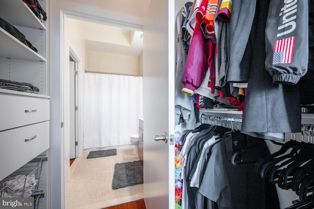 spacious closet with carpet floors