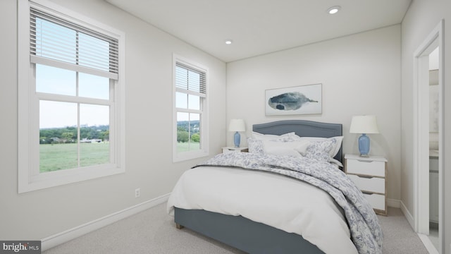 bedroom with light colored carpet