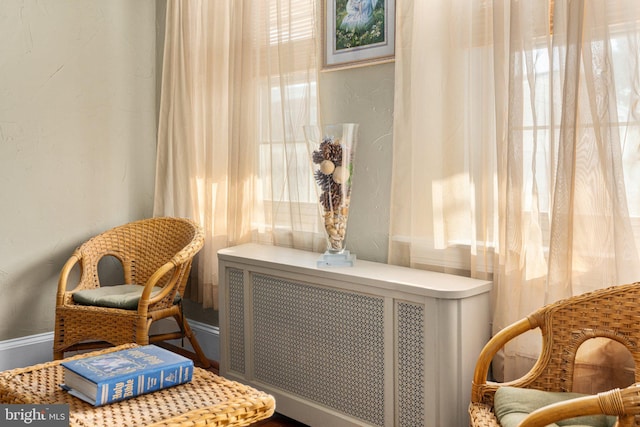 sitting room featuring radiator