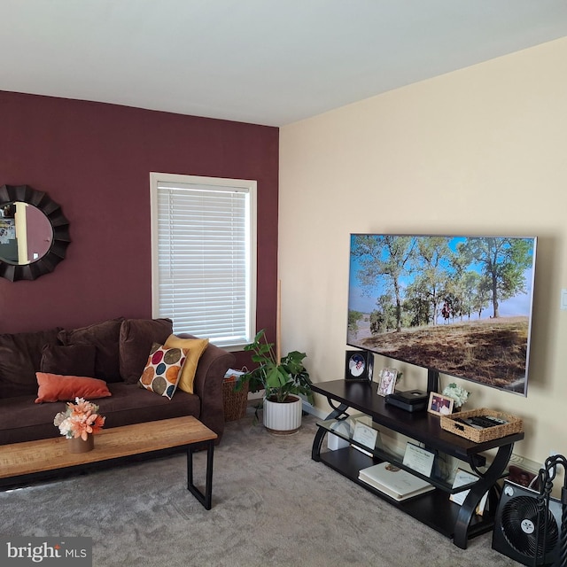 living room with carpet flooring