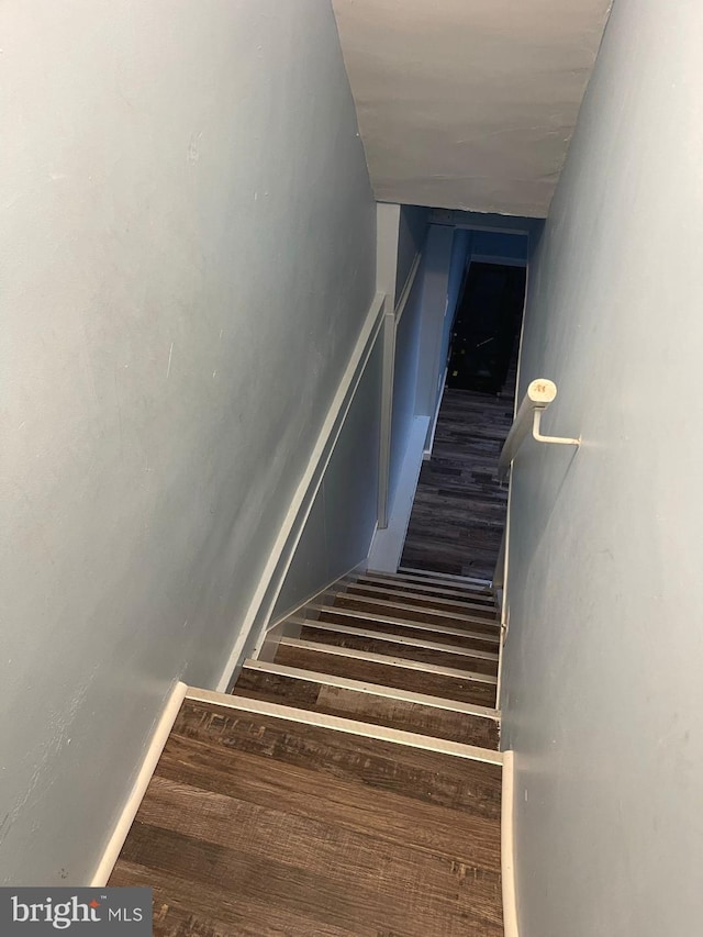 staircase featuring wood-type flooring