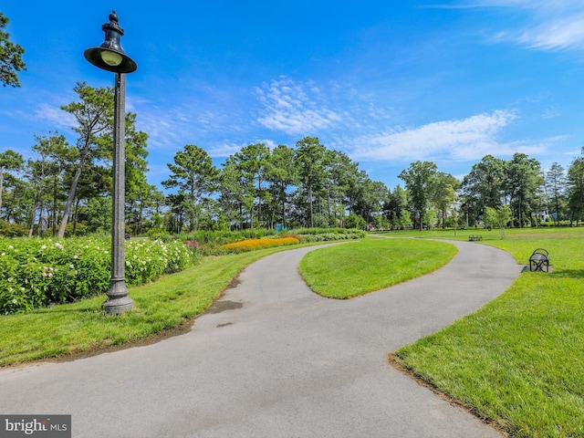 701 S Edgewater House Rd Unit 701S, Bethany Beach, DE 19930 - surrounding community with a yard and view of wooded area