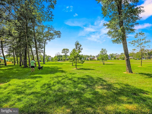 701 S Edgewater House Rd Unit 701S, Bethany Beach, DE 19930 - view of grassy yard