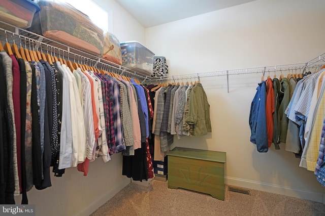 walk in closet featuring carpet