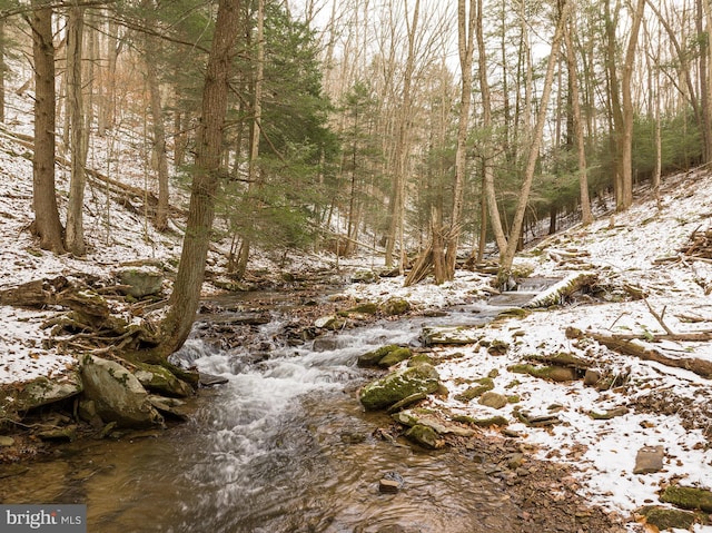 view of snowy landscape