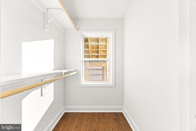 spacious closet with dark wood-type flooring