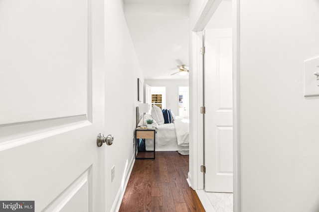 hall with dark hardwood / wood-style floors