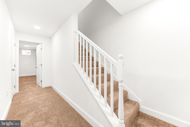 stairway featuring carpet