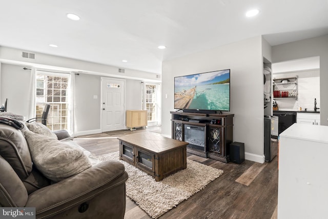 living room with dark hardwood / wood-style flooring and sink