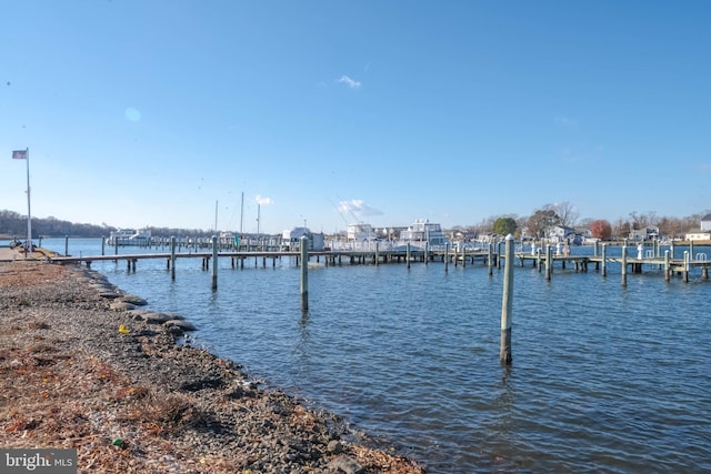 water view featuring a boat dock