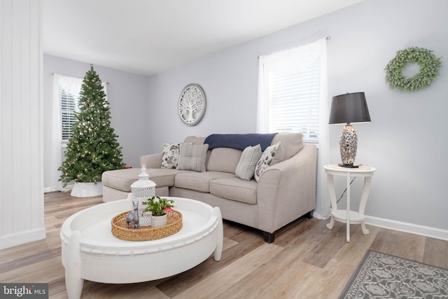 living room with light hardwood / wood-style floors