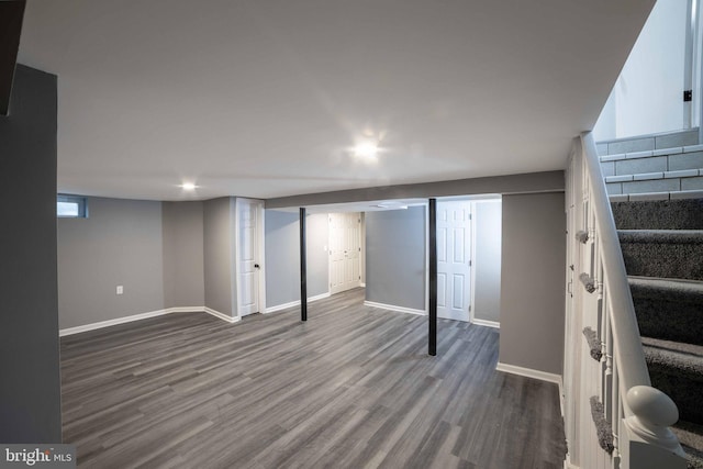 basement with hardwood / wood-style floors