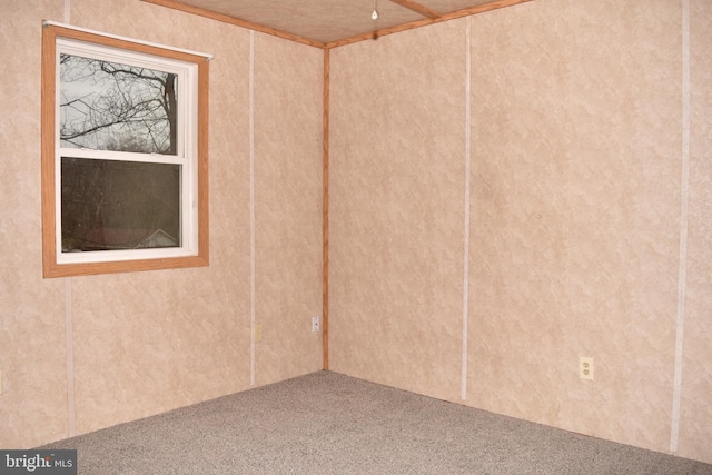 unfurnished room with carpet