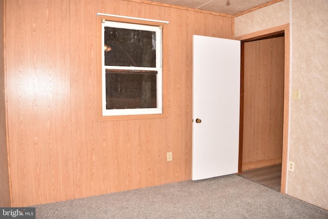 spare room featuring carpet and wooden walls