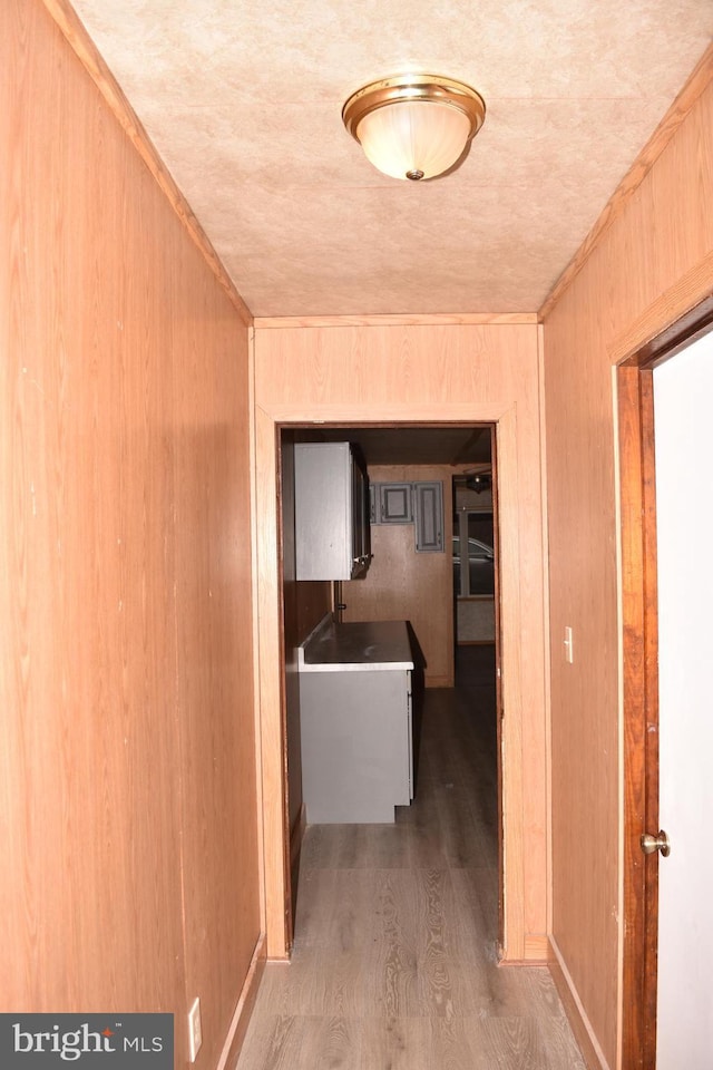 corridor with wooden walls and hardwood / wood-style flooring