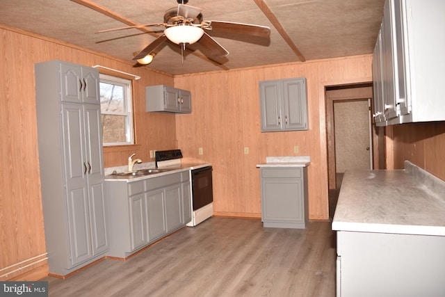 kitchen with gray cabinetry, sink, light hardwood / wood-style floors, electric stove, and wooden walls