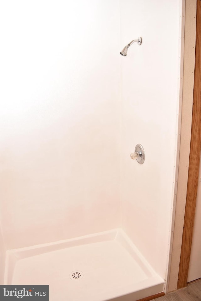 bathroom with hardwood / wood-style floors