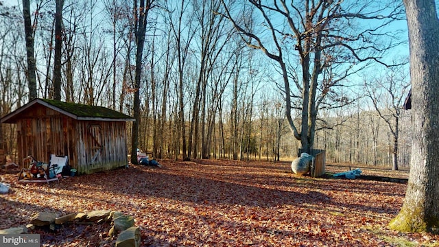 view of yard with a storage unit