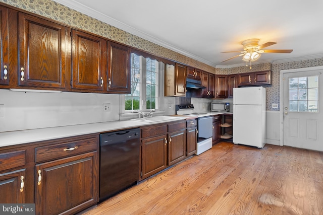 kitchen with ornamental molding, white appliances, ceiling fan, sink, and light hardwood / wood-style flooring