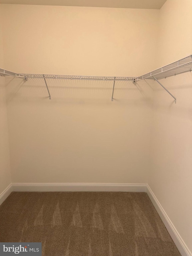 spacious closet featuring dark colored carpet