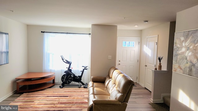 living room featuring hardwood / wood-style flooring
