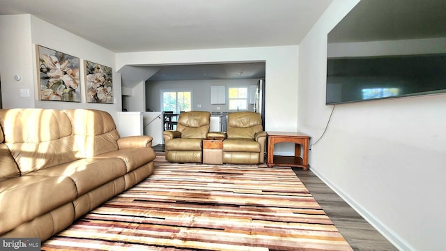 living room featuring hardwood / wood-style flooring