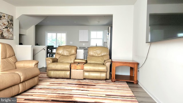living room with hardwood / wood-style floors
