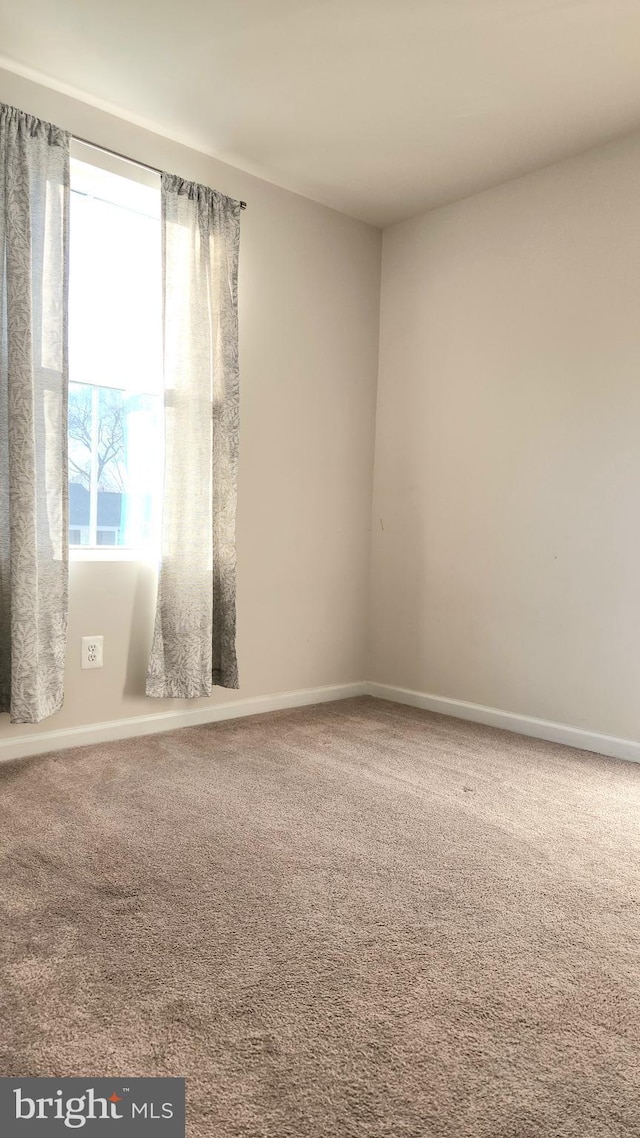 empty room featuring carpet flooring