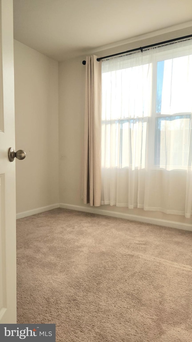 spare room featuring light carpet