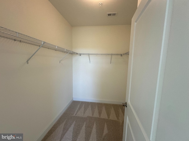 spacious closet with carpet floors