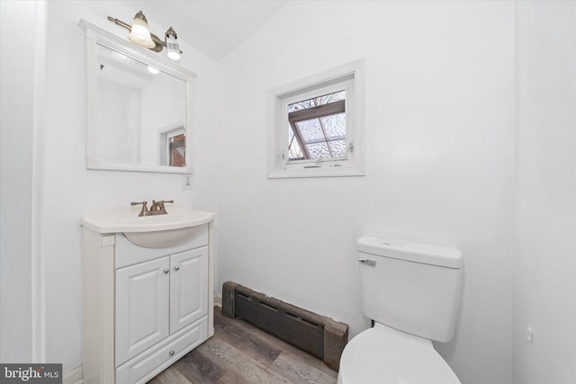 bathroom featuring vanity, toilet, and wood-type flooring