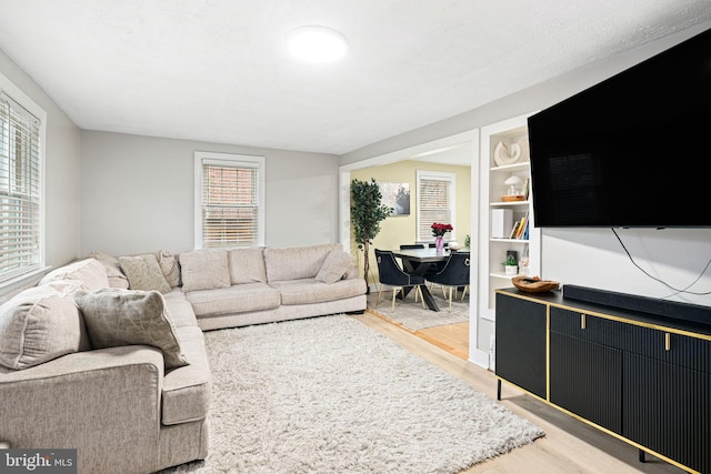 living room with hardwood / wood-style flooring