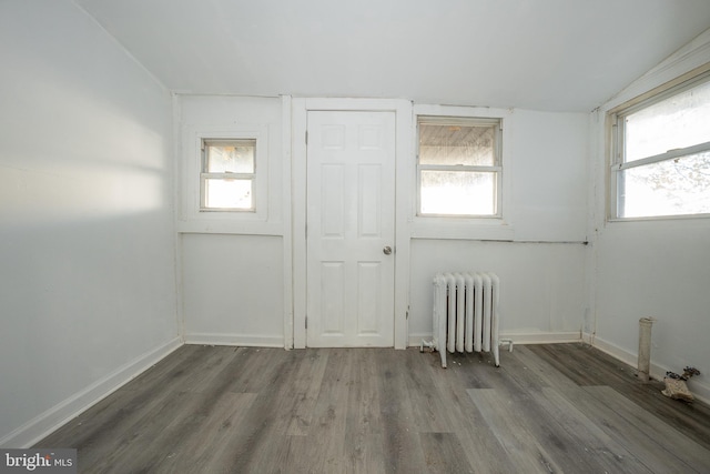 unfurnished room featuring a wealth of natural light, dark hardwood / wood-style flooring, and radiator