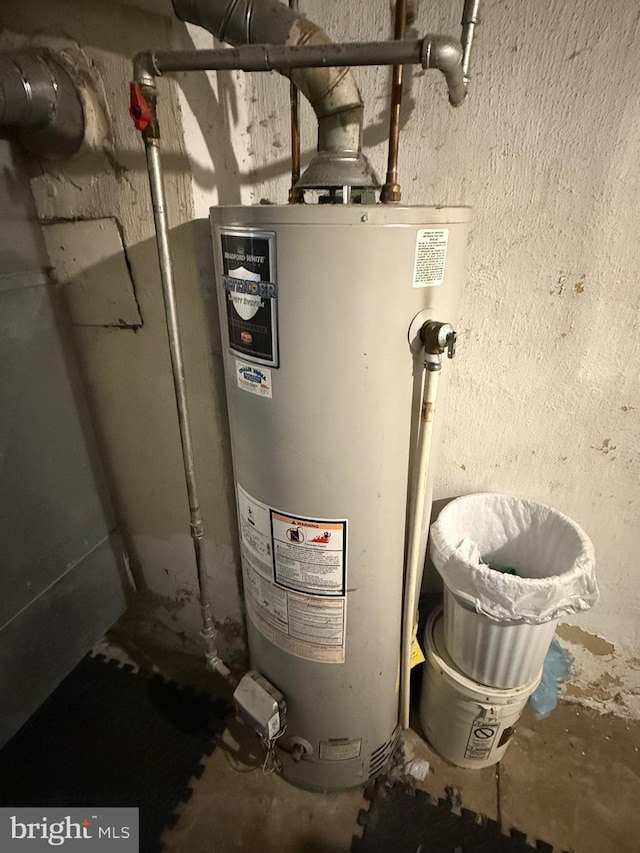 utility room with gas water heater