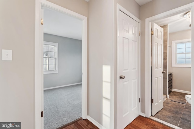 hall featuring carpet floors