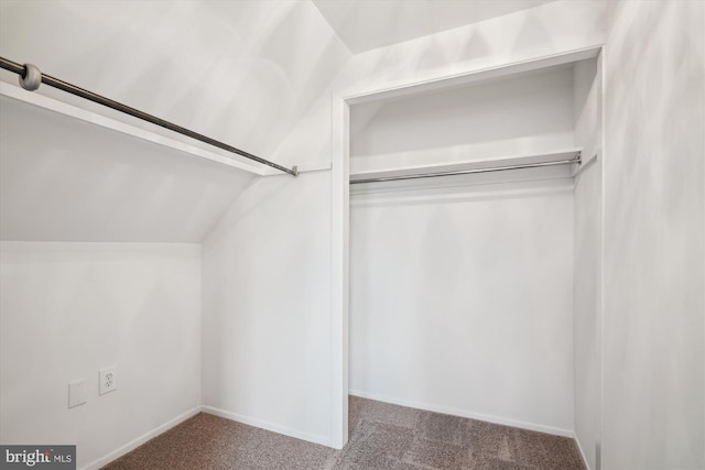 walk in closet featuring carpet flooring